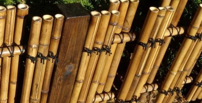 Бамбуковый забор для дачи: рулонный