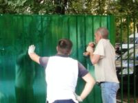 Забор из поликарбоната: цветные монолитные листы для дачи
