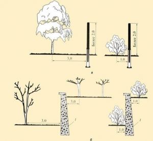 Расстояние дерева от забора